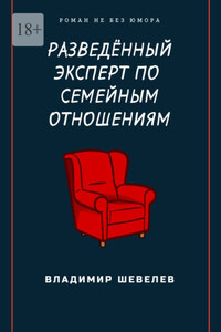 Разведённый эксперт по семейным отношениям. Роман не без юмора