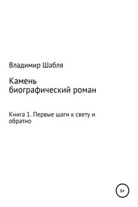 Камень. Биографический роман. Книга 1. Первые шаги к свету и обратно