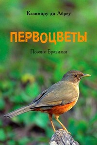 Первоцветы. Поэзия Бразилии