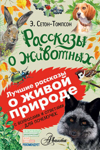 Рассказы о животных. С вопросами и ответами для почемучек