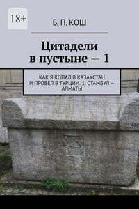 Цитадели в пустыне – 1. Как я копал в Казахстан и провел в Турции. 1. Стамбул – Алматы