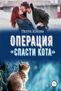 Операция «Спасти кота»