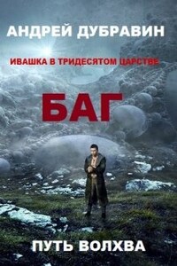 Ивашка в тридесятом царстве Книга 1 Багатырь