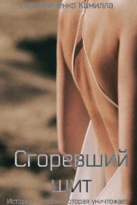 Сгоревший щит