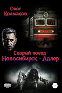 Скорый поезд «Новосибирск – Адлер»