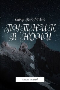 Путник в ночи. Книга стихов