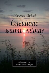 Спешите жить сейчас. Поэтическое осмысление жизни