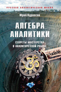 Алгебра аналитики. Секреты мастерства в аналитической работе