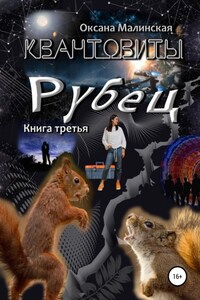 Квантовиты. Книга 3. Рубец