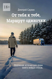 От тебя к тебе, маршрут одиночки. Дорожная аптечка для души. Книга живых стихов