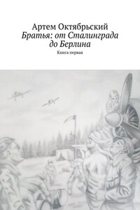 Братья: от Сталинграда до Берлина. Книга первая