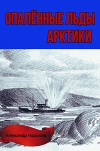 Опалённые льды Арктики