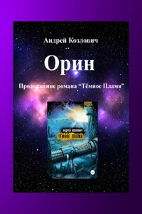 Орин. Продолжение романа «Тёмное Пламя»