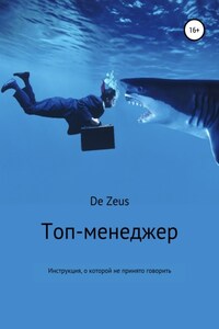 Топ-менеджер. Инструкция, о которой не принято говорить