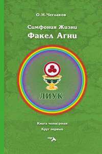 Симфония жизни. Факел Агни. Книга четвертая. Круг первый