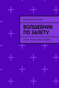 Волшебник по залету. Книга третья. Магия крови