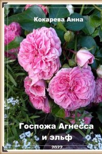 Госпожа Агнесса и эльф