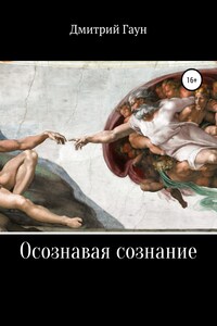 Осознавая сознание