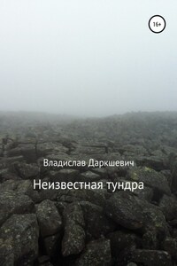 Неизвестная тундра