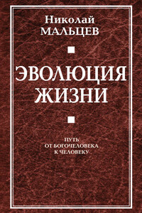 Эволюция жизни. Путь от Богочеловека к человеку