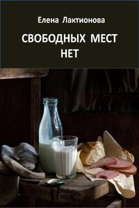 Свободных мест нет. Рассказы советских времен (сборник)